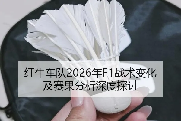 红牛车队2026年F1战术变化及赛果分析深度探讨