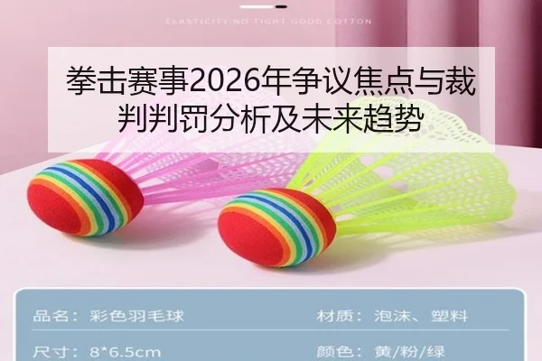 拳击赛事2026年争议焦点与裁判判罚分析及未来趋势